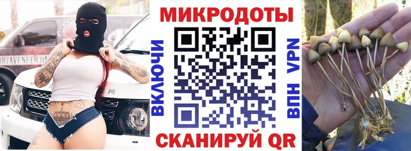 закладки  Сосногорск  mega зеркало  Псилоцибиновые грибы Magic Shrooms 